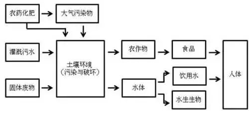 没有高精尖，农民如何判断土壤肥瘦？10个土办法，管用！