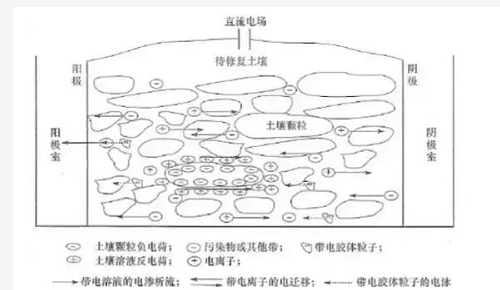 没有高精尖，农民如何判断土壤肥瘦？10个土办法，管用！