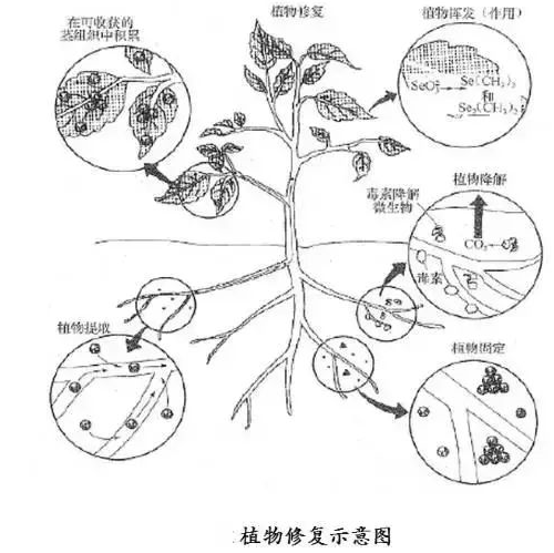 没有高精尖，农民如何判断土壤肥瘦？10个土办法，管用！