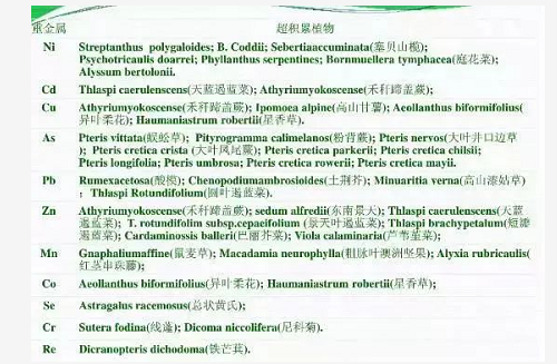 没有高精尖，农民如何判断土壤肥瘦？10个土办法，管用！