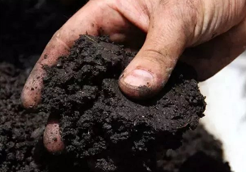 每亩地用多少有机肥，土壤有机质才能增加1%，准确数据来了！