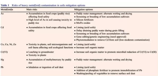 农田土壤中降低重金属污染的修复策略
