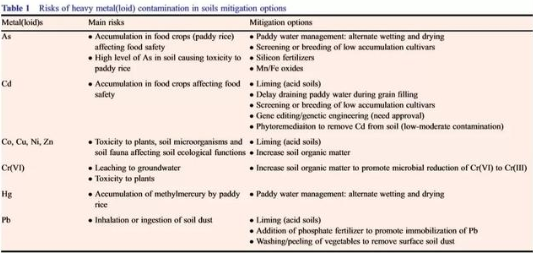 农田土壤中降低重金属污染的修复策略