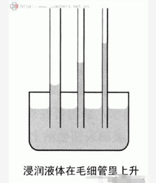 什么是土壤盐碱（渍）化？