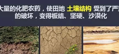 央视：人均每年“吃化肥”40斤！农业种植方式面临大洗牌