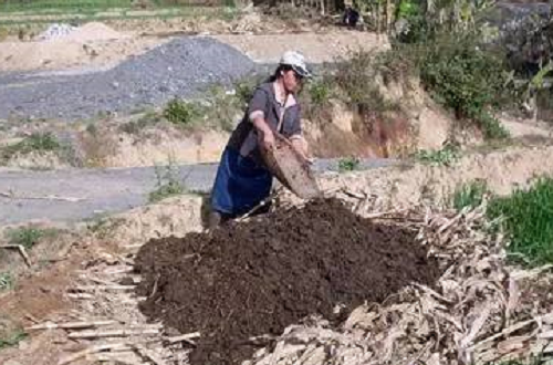 秋冬有机肥施用高峰季，不懂这些你就亏大了~
