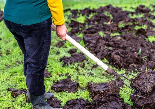 有机肥到底该秋施肥还是春天施肥？如何高效施肥
