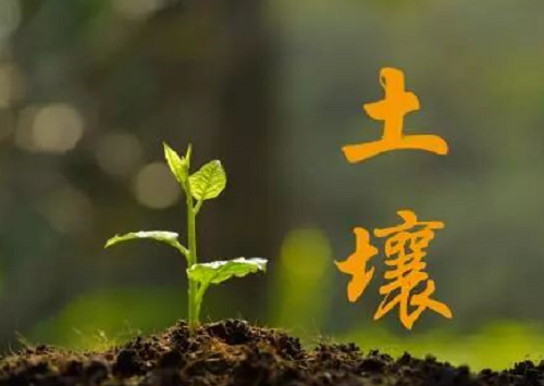 中国主要土壤类型，看看你家属于哪一种！