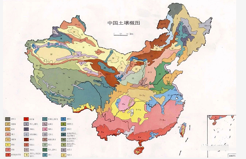 中国主要土壤类型，看看你家属于哪一种！
