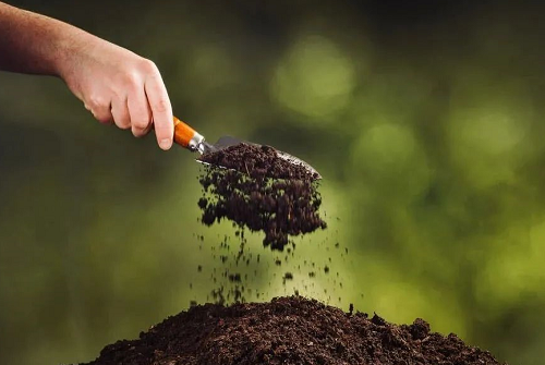 科研人员发现土壤微生物与农作物产量关系密切