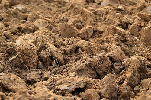 八问“土壤调理剂” 是忽忽忽悠还是真有有有有有料？
