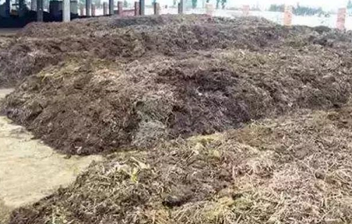 7种自制有机肥方法：省钱、实用，建议收藏！