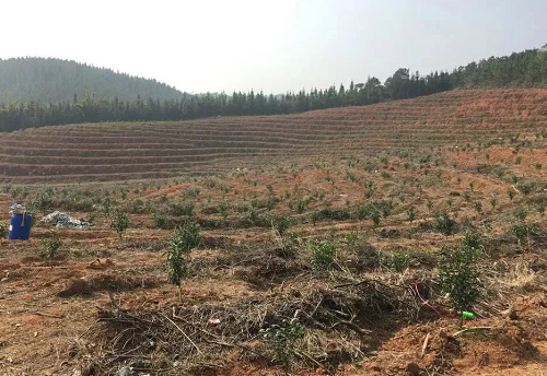 不懂土壤，用的肥用的药都是浪费！