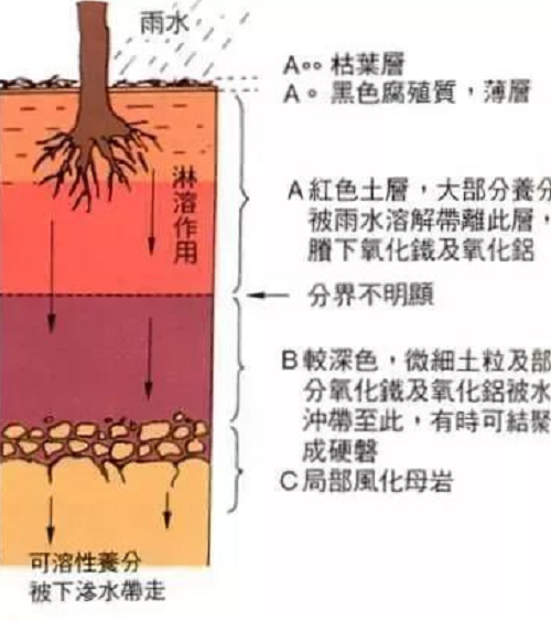 不懂土壤，用的肥用的药都是浪费！