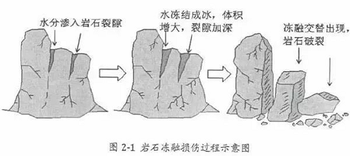 不懂土壤，用的肥用的药都是浪费！