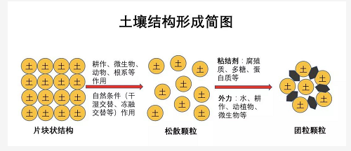 不懂土壤，用的肥用的药都是浪费！