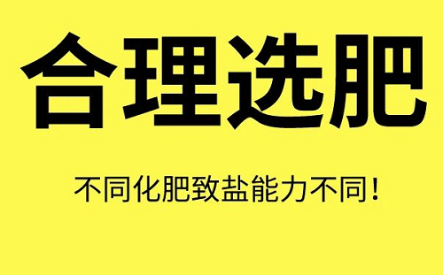 土壤“病了”怎么办？这8个解决方法快拿走！