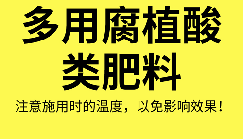 土壤“病了”怎么办？这8个解决方法快拿走！