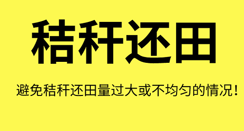 土壤“病了”怎么办？这8个解决方法快拿走！