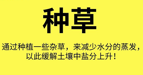 土壤“病了”怎么办？这8个解决方法快拿走！