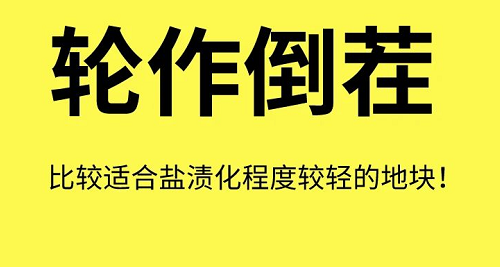 土壤“病了”怎么办？这8个解决方法快拿走！