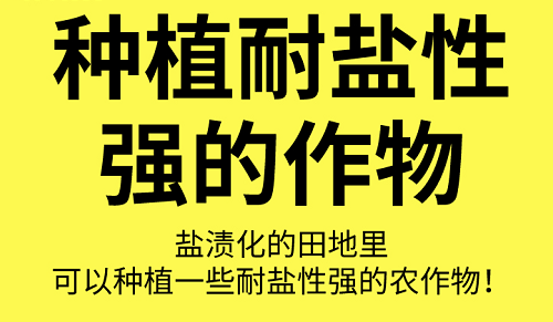 土壤“病了”怎么办？这8个解决方法快拿走！