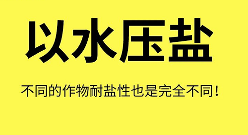 土壤“病了”怎么办？这8个解决方法快拿走！