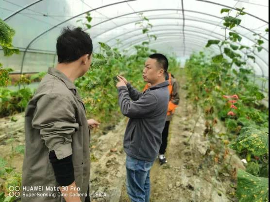 种植户有需求，中农润泽马不停蹄赶往基地！