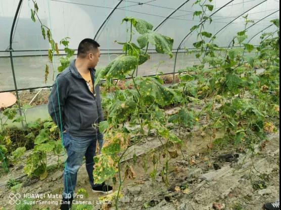 种植户有需求，中农润泽马不停蹄赶往基地！