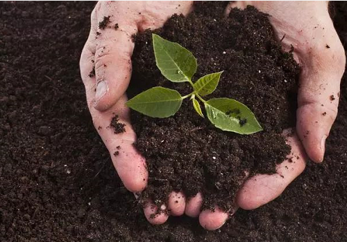 从8个维度修复土壤，让土壤恢复肥沃，种出好产量！
