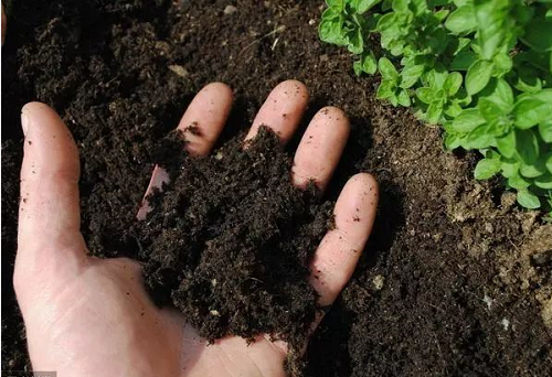 从8个维度修复土壤，让土壤恢复肥沃，种出好产量！