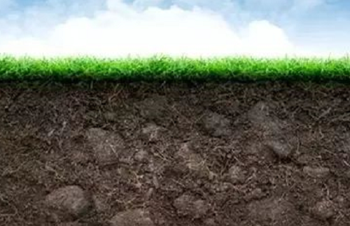 切记：土壤的生命核心是微生物