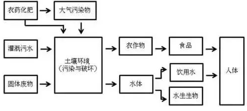 不用再找了！最全的土壤修复再利用技术汇总！