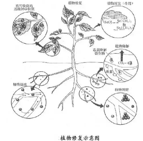 不用再找了！最全的土壤修复再利用技术汇总！