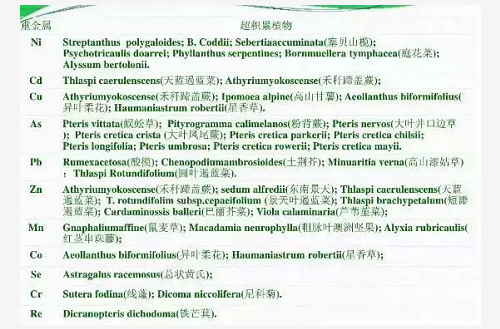 不用再找了！最全的土壤修复再利用技术汇总！