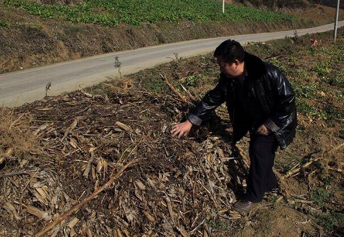 不要等土壤真坏了再调理！