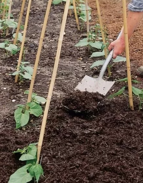 土壤修复方法有哪些，哪种土壤修复方法最有效?值得借鉴