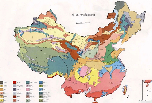 中国主要土壤类型，看看你家属于哪一种！