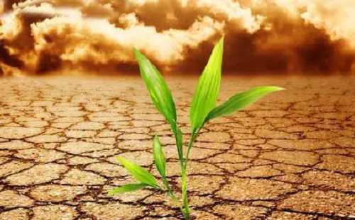 土壤，是地球的皮肤，不仅抵御外部侵袭，更孕育了生命活力。