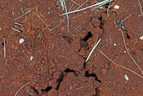 为什么大部分土壤出现酸化？庄稼无法生长？解决问题的出路在哪里