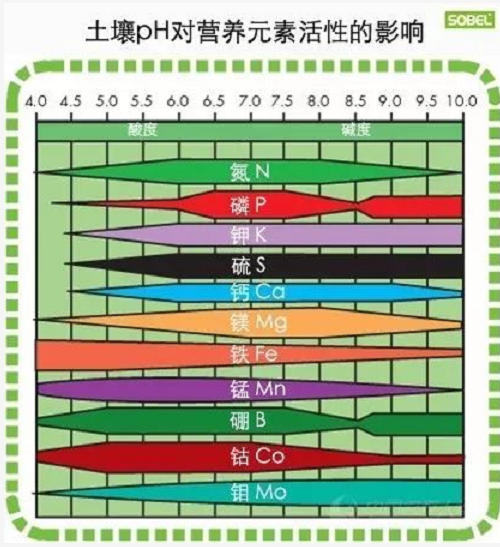 土壤酸碱度失衡有多可拍？你知道吗？  土壤pH就是指土壤的酸碱度。酸碱度的量程为0至14，依据pH从小到大分别为