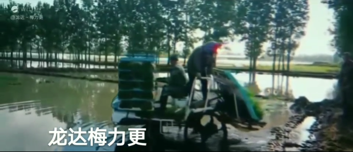 龙达梅力更，天佑聪慧 酵素好大米，健康国人