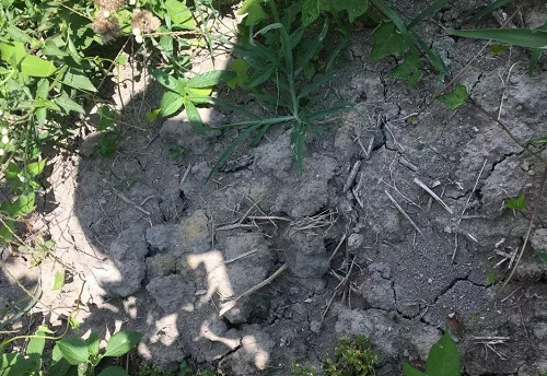 水土保持:土壤流失量、土壤侵蚀量与流域产沙量​
