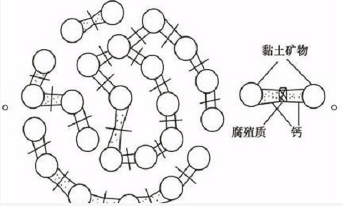 土壤里面学问大，搞不清楚瞎种地！