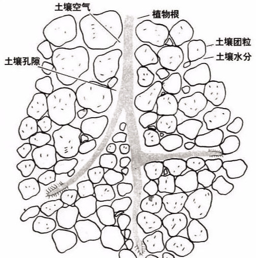 土壤里面学问大，搞不清楚瞎种地！