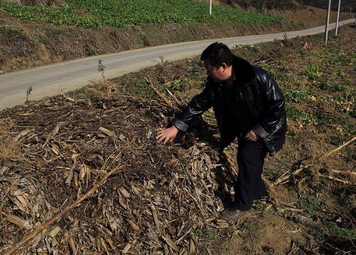 土壤坏了，种什么都不行！事关所有人，赶快看吧！