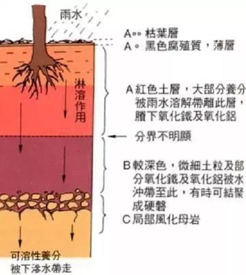 不懂土壤，用的肥用的药都是浪费！都看看吧！