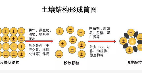 不懂土壤，用的肥用的药都是浪费！都看看吧！