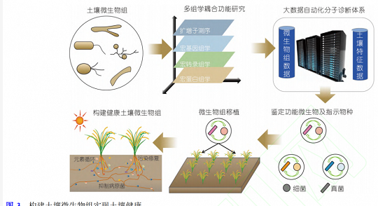 土壤微生物组与土壤健康