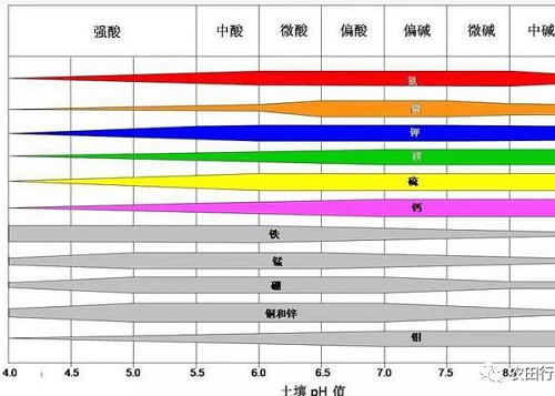 警告：土壤病了，什么庄稼也别想长好！都看看吧！